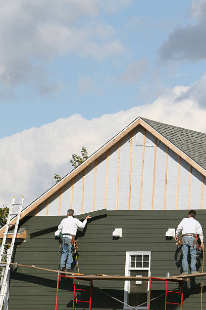 Best Historical Building Siding Restoration  in Catlin, IL