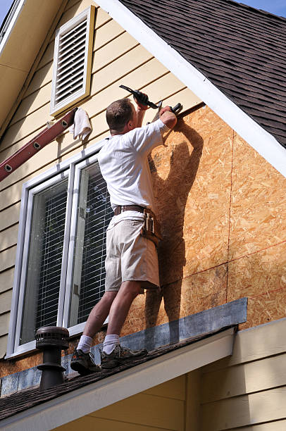 Best Insulated Siding Installation  in Catlin, IL